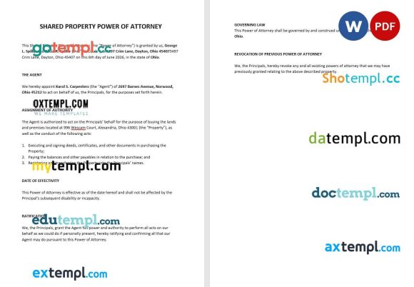 Shared Property Power of Attorney example, fully editable