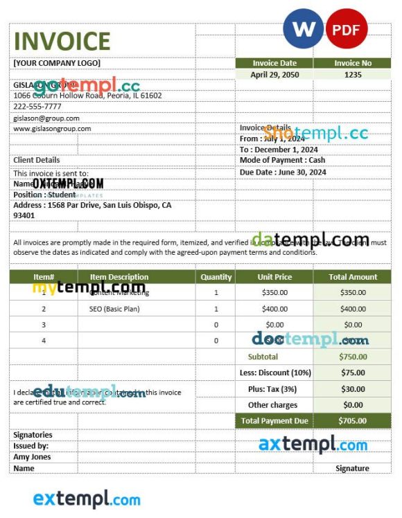 Simple Agency Invoice example in word and pdf format