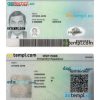 Singapore work permit card PSD template, with fonts