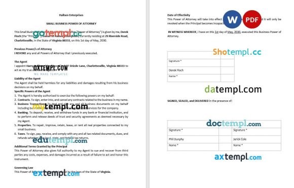 Small Business Power of Attorney example, fully editable