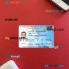 St Kitts & Nevis driving license editable PSD files, scan look and photo-realistic look, 2 in 1