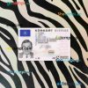 Sweeden driving license PSD files, scan look and photographed image, 2 in 1 (2009-2016)