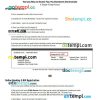 The Ian Martin Group pay stub Word and PDF example