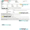 Thomascook India airplane e-ticket, Word and PDF download template