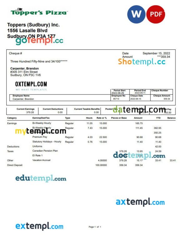 Topper's Pizza pay stub Word and PDF example