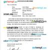 Turkey Anadolu Isuzu Automotive Industry & Trading certificate of employment Word and PDF download template