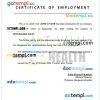 Tuvalu Princess Margaret Hospital certificate of employment Word and PDF download template