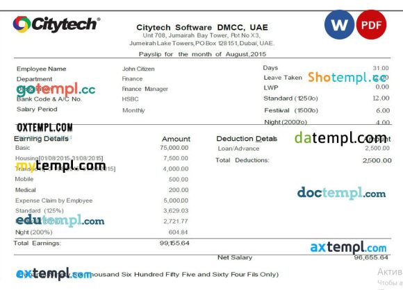 UAE Citytech Software DMCC UAE pay stub example in Word and PDF format