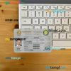 UAE driving license PSD files, scan look and photographed image, 2 in 1