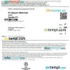 UEFA Champions League e-ticket, Word and PDF download template