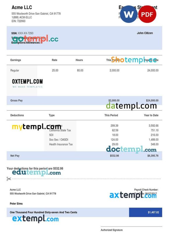 USA CALIFORNIA ACME LLC earning statement example in Word and PDF formats