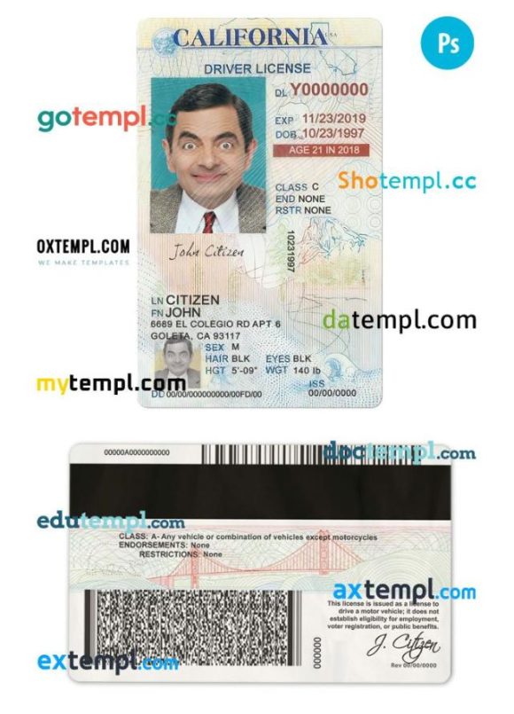 California driver license PSD template, under 21