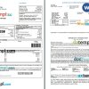 USA Central Loan Administration loan statement Word and PDF template, 3 pages