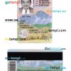 USA Colorado state ID card PSD template, under 21, completely editable