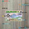 USA Colorado driving license PSD files, scan look and photographed image, 2 in 1 (2022-present)