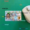 USA Florida driving license editable PSD files, scan look and photo-realistic look, 2 in 1