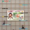 USA Georgia driving license editable PSD files, scan look and photo-realistic look, 2 in 1 (2017-2019)