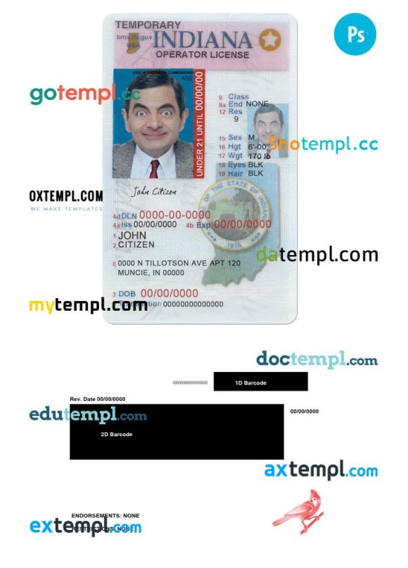 Indiana driver license PSD template, under 21