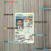 USA Iowa driving license editable PSD files, scan look and photo-realistic look, 2 in 1, under 21