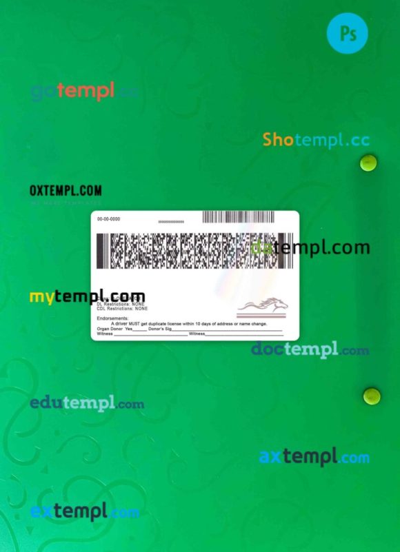 USA Kentucky driving license PSD files, scan look and photographed image, 2 in 1 - Image 2