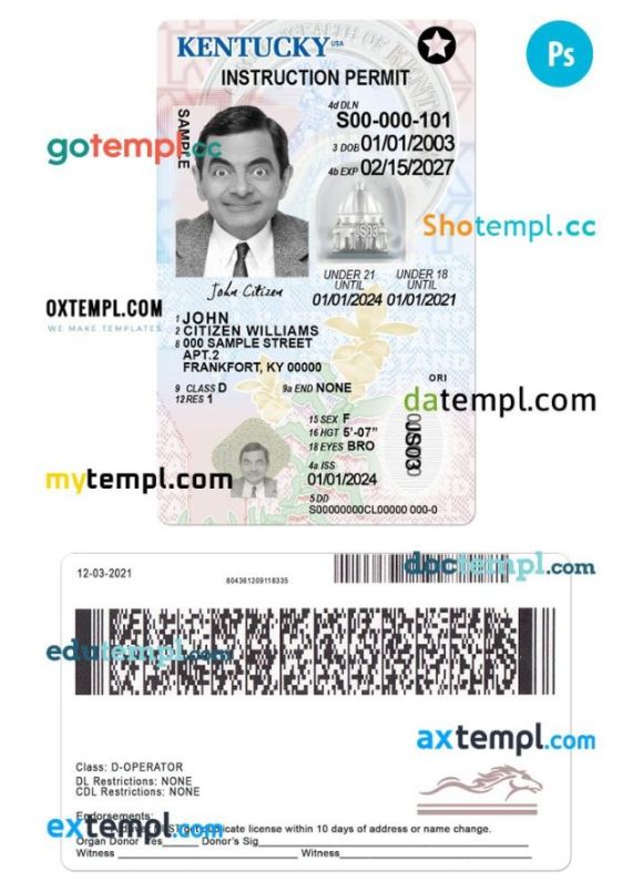 Kentucky driver license PSD template, under 21