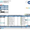 USA LA CITY employees' retirement system paystub example in Word and PDF formats