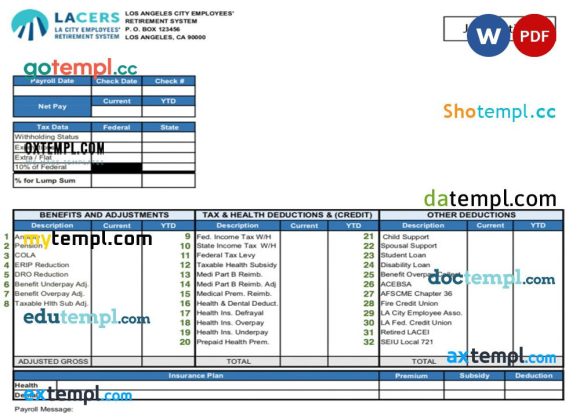 USA LA CITY employees' retirement system paystub example in Word and PDF formats