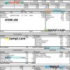 USA MEASURE Twice Financia payslip example in Word and PDF example