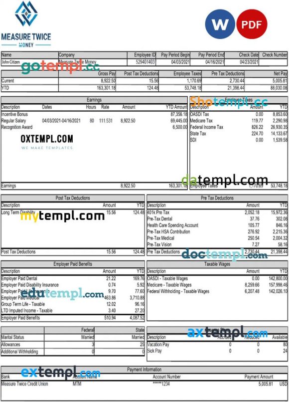 USA MEASURE Twice Financia payslip example in Word and PDF example
