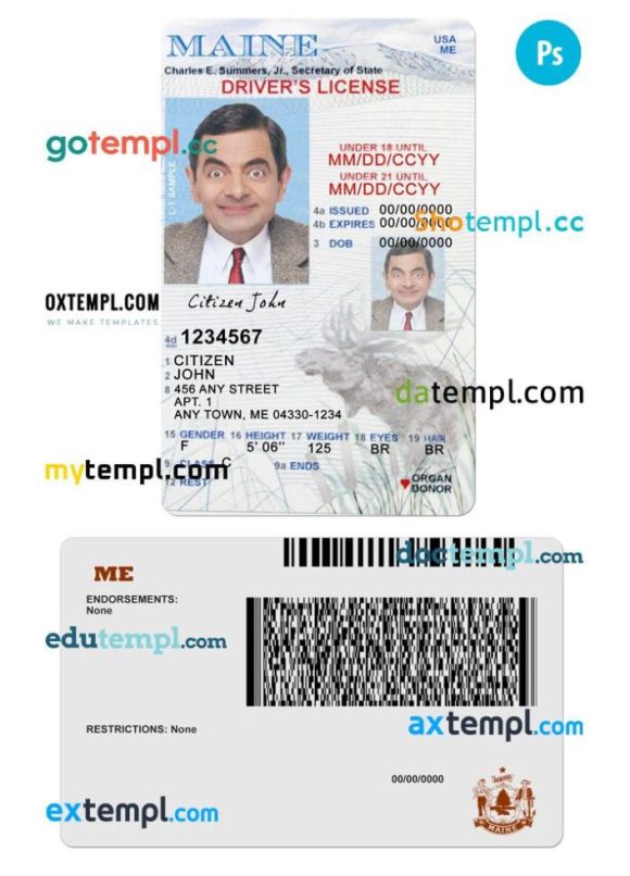 Maine driver license PSD template, under 21