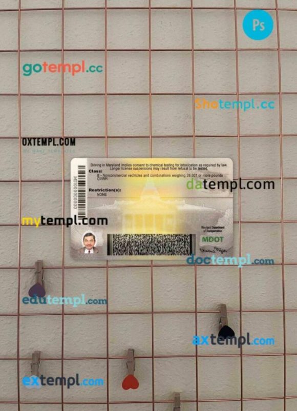USA Maryland driving license PSD files, scan look and photographed image, 2 in 1 (2016-present) - Image 2