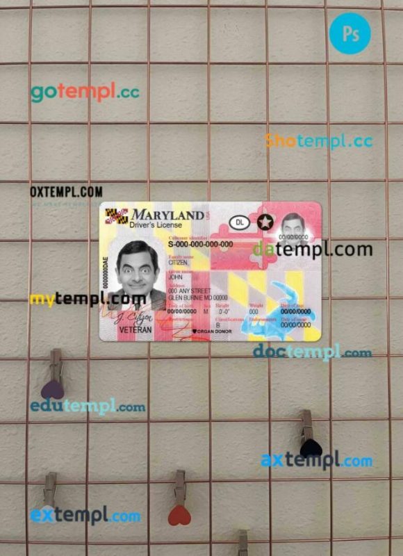 USA Maryland driving license PSD files, scan look and photographed image, 2 in 1 (2016-present)