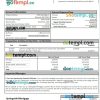 USA Maryland Springside mortgage statement Word and PDF template