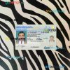 USA Michigan driving license PSD files, scan look and photographed image, 2 in 1