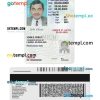Michigan driver license PSD template, under 21