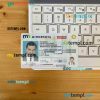 USA Minnesota driving license PSD files, scan look and photographed image, 2 in 1