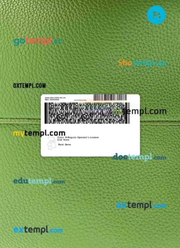 USA Mississippi driving license editable PSD files, scan look and photo-realistic look, 2 in 1 - Image 2