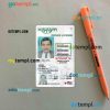 USA Mississippi driving license editable PSD files, scan look and photo-realistic look, 2 in 1, under 21