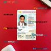 USA New Mexico driving license editable PSD files, scan look and photo-realistic look, 2 in 1, under 21