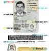 New York driver license PSD template, under 21