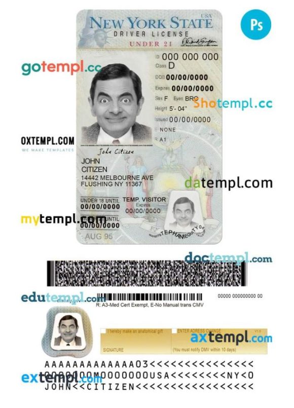 New York driver license PSD template, under 21