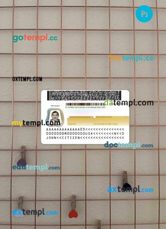 USA New York driving license editable PSD files, scan look and photo-realistic look, 2 in 1, under 21 - Image 2