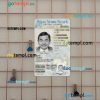 USA New York driving license editable PSD files, scan look and photo-realistic look, 2 in 1, under 21