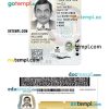 New York driver license PSD template, under 21, version 2