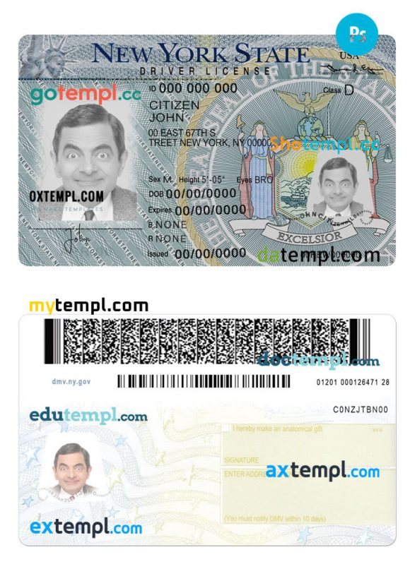 New York driver license PSD template, version 2