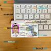 USA North Carolina driving license editable PSD files, scan look and photo-realistic look, 2 in 1