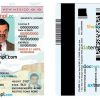 New Mexico driver license PSD template, under 21