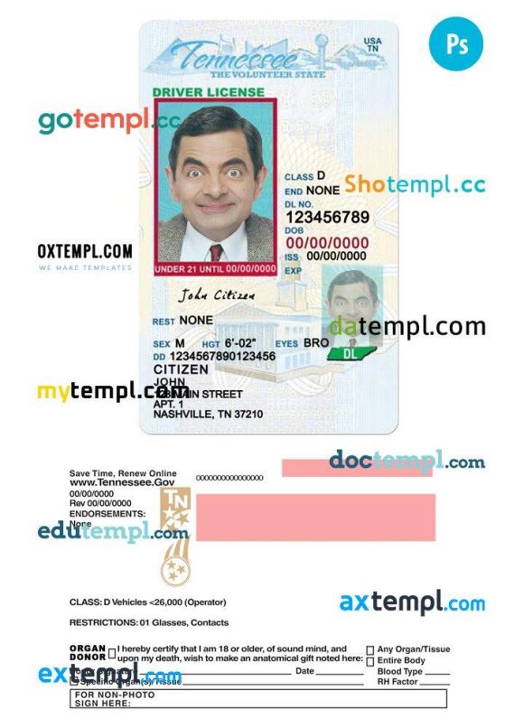 Tennessee driver license PSD template, under 21