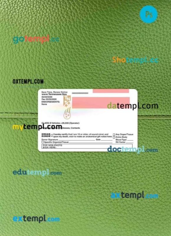 USA Tennessee driving license editable PSD files, scan look and photo-realistic look, 2 in 1, under 21 - Image 2