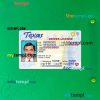 USA Texas driving license editable PSD files, scan look and photo-realistic look, 2 in 1